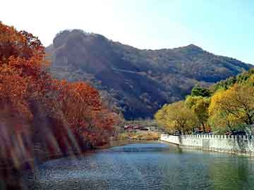 新澳天天开奖资料大全旅游团，一龙被ko